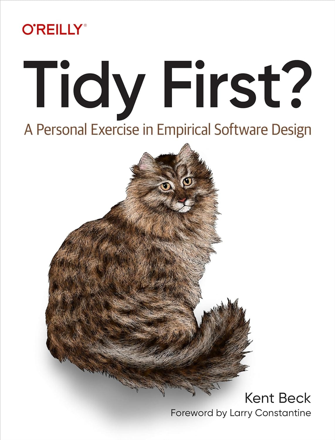 Tidy First? A Summary of Kent Beck's Book on Empirical Software Design
